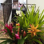 Antica Dimora Pensión 3*